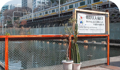 市ヶ谷フィッシュセンター